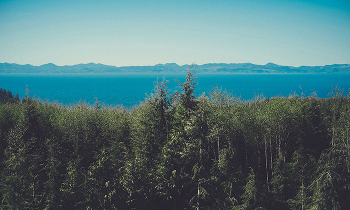 网页攻击器教程