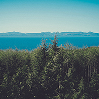 网页攻击器教程