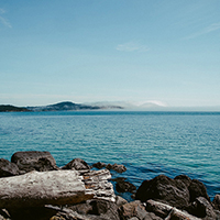 网页在线DDOS压力测试